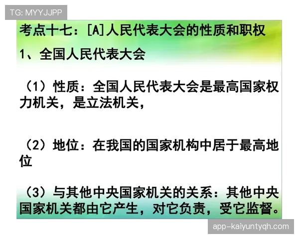 新手必读：争议球处理规则的正确理解和实际应用